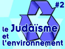 Le judaïsme et l'environnement - Deuxième partie