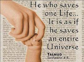 wp04t12a.jpg (312913 bytes)