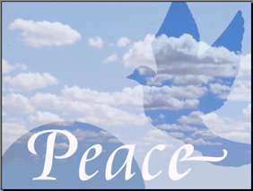 wp04t20c.jpg (191173 bytes)