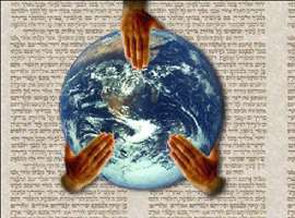 wp04t60a.jpg (311179 bytes)