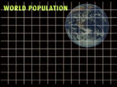 wp07t10g.jpg (276110 bytes)