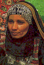 wp07t60d.jpg (328416 bytes)